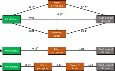 Mindfulness Affects the Level of Psychological Distress in Patients With Lung Cancer via Illness Perception and Perceived Stress: A Cross-Sectional Survey Study